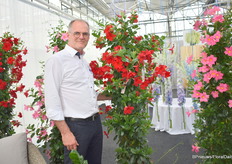 Jaap Streder met Summer Star New Red. Net als de anderen in de Summerstar, heeft deze een zeer vroege bloei en bloeit bij weinig licht.